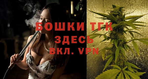 ПСИЛОЦИБИНОВЫЕ ГРИБЫ Арсеньев