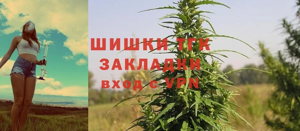 ПСИЛОЦИБИНОВЫЕ ГРИБЫ Арсеньев